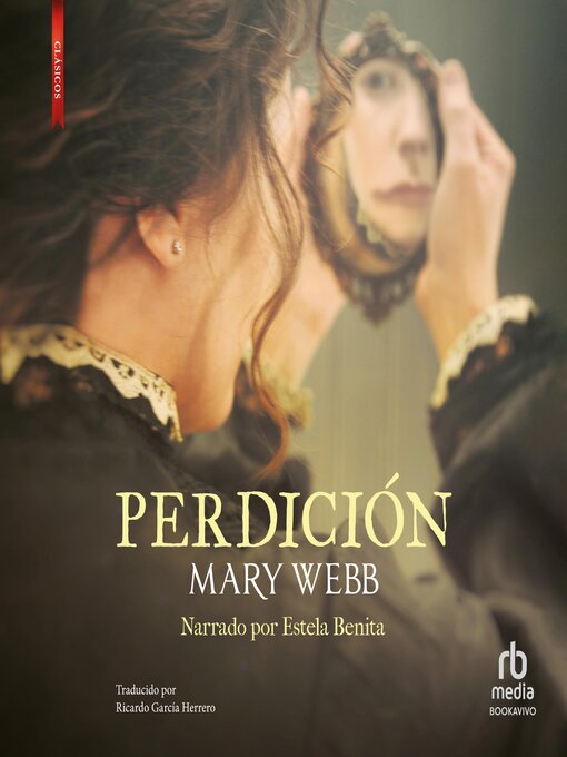 Cover image for Perdición 